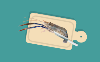 Vietnam giant river prawn cut Vietnam giant river prawn cut