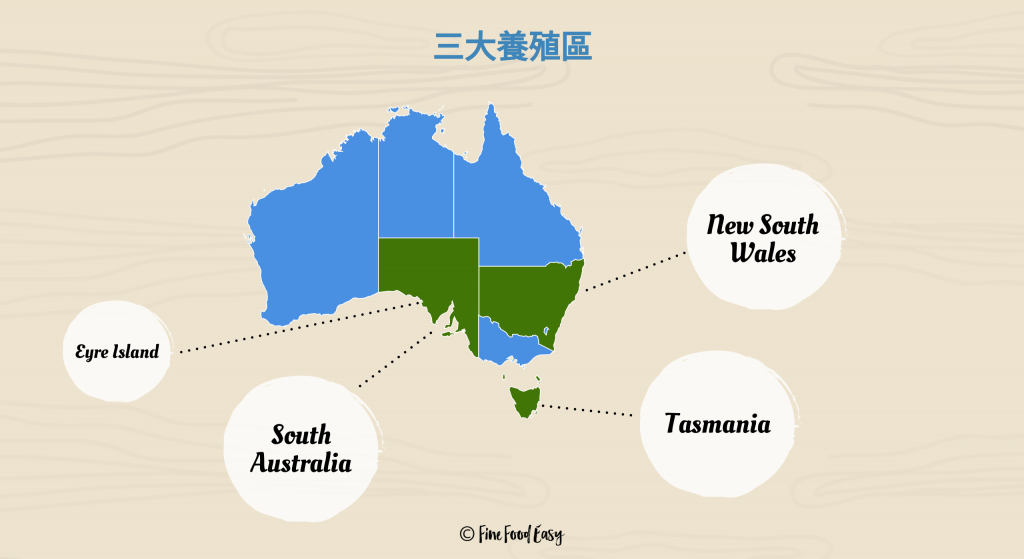 Australia Oyster Map