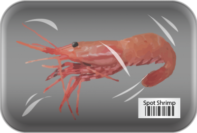 Spot shrimp (w pack)