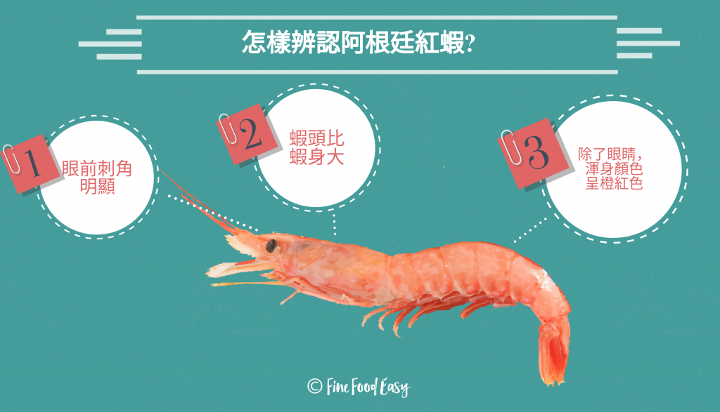 Argentine red shrimp Species