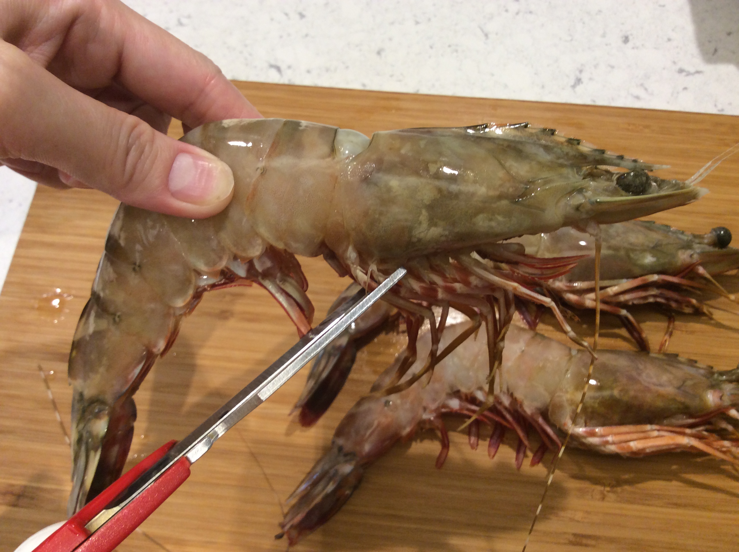 Sea Praise Wild Flower Shrimp Sharing