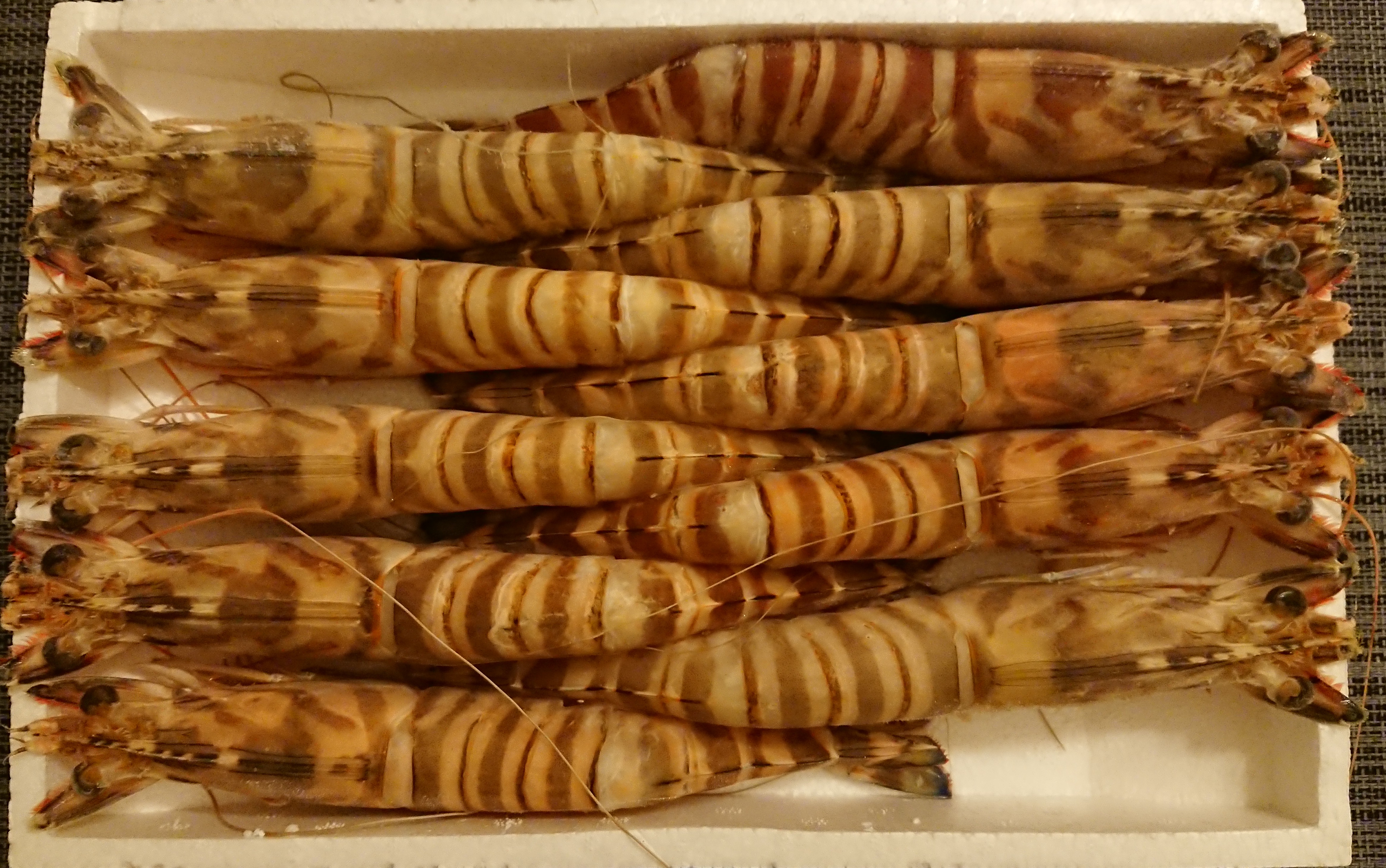 Wing Kee Kuruma Prawn (Special grade 10 pcs)