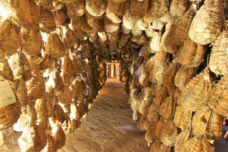 稀有意大利火腿之王 Culatello di Zibello